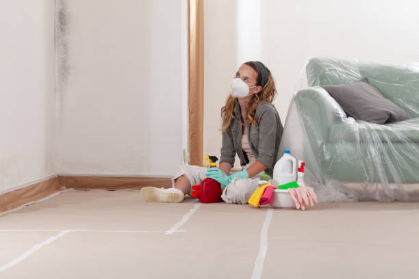 Reliable Black Mold Removal contractor in Devon, PA by WQB Mold Removal